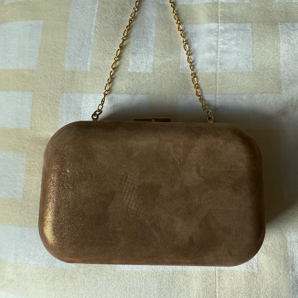 Banana republic  leather sparkly champagne, evening Bag